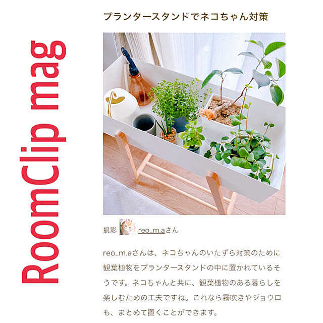 RoomClip mag 掲載/ガジュマル/ピレア/サンセベリア/ペペロミア...などのインテリア実例 - 2024-08-02 21:46:46