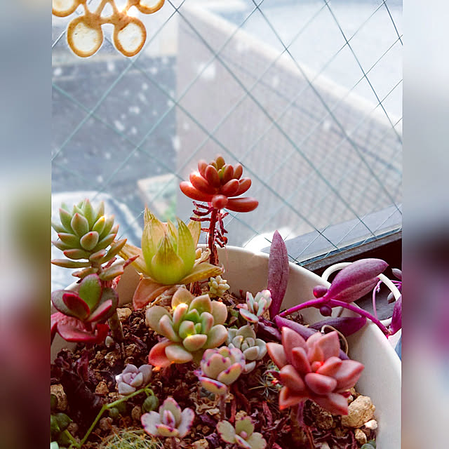 kyooonさんの実例写真