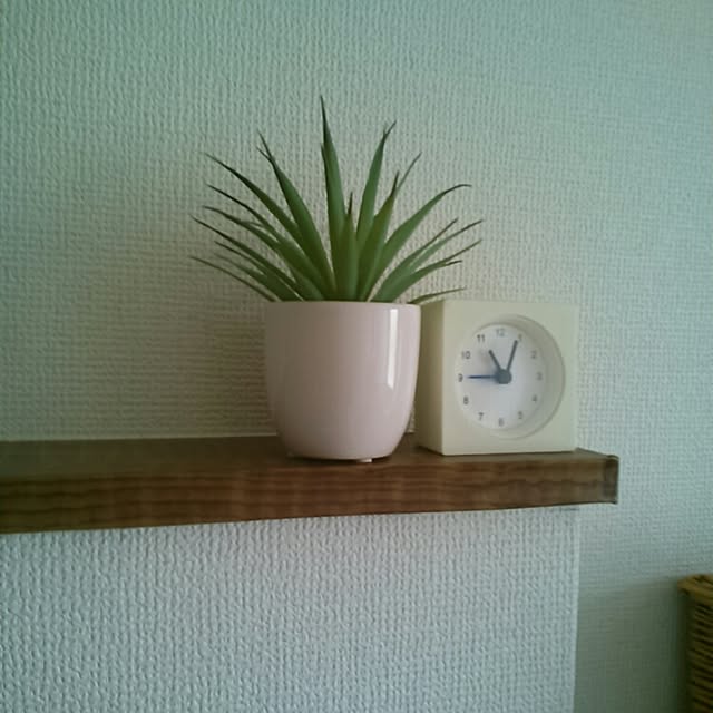 onigiriさんの実例写真