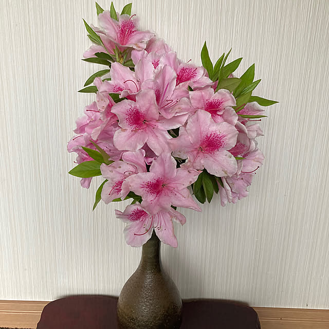 momokaさんの実例写真
