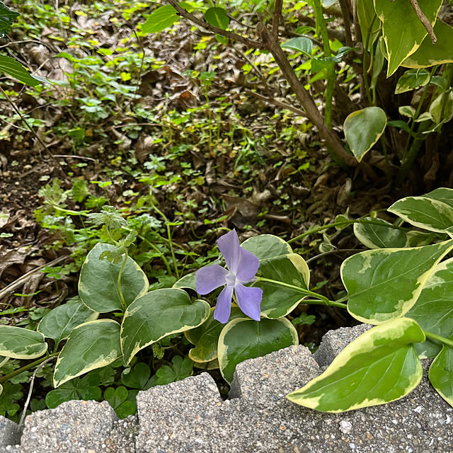 ritsukoさんの部屋
