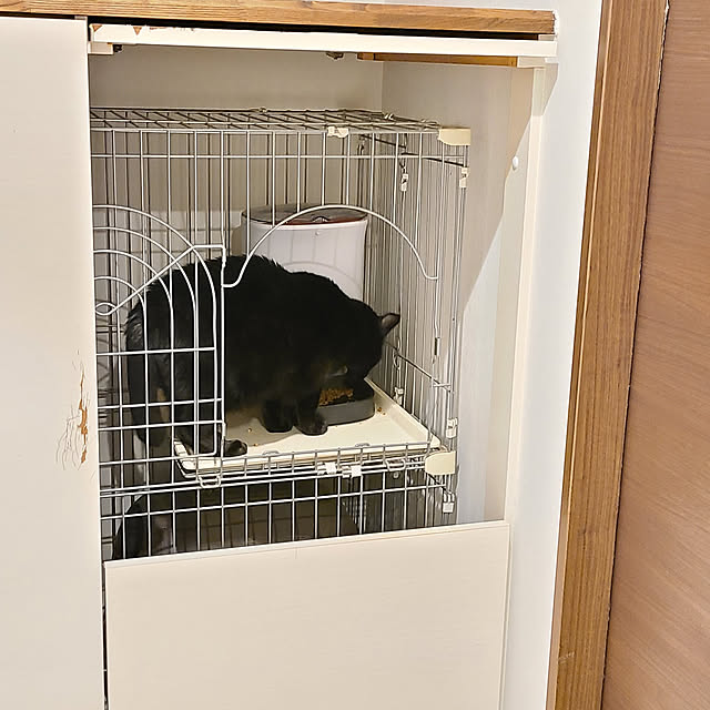 zenoさんの実例写真