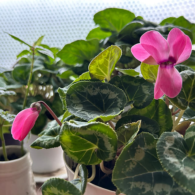 ikunyanさんの部屋