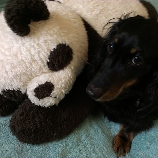 marorinさんの実例写真
