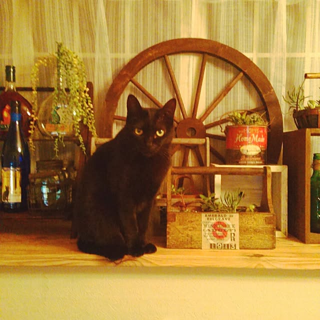 furiさんの実例写真