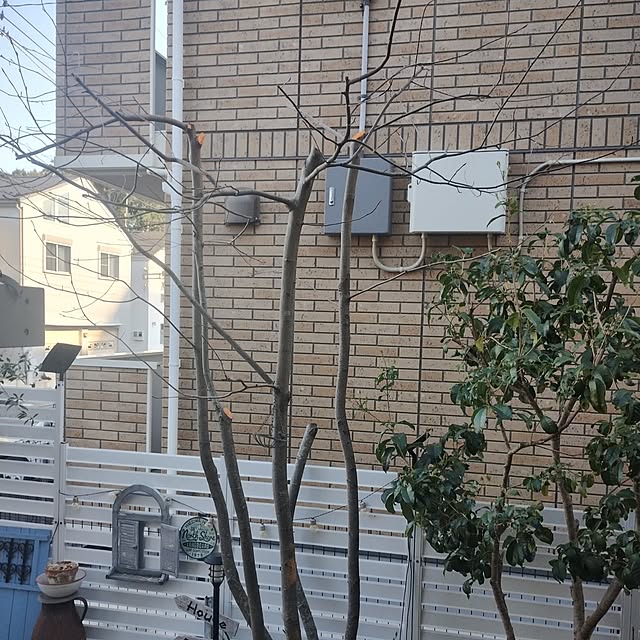 kana_ciiさんの部屋