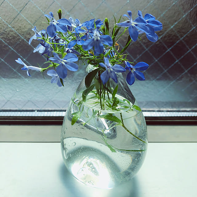 wonder9さんの実例写真
