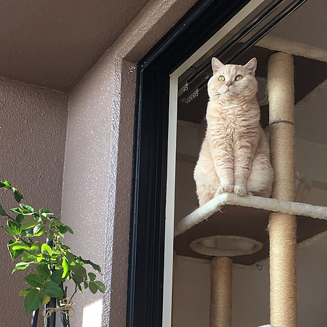 naokoさんの部屋