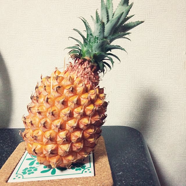 puku.さんの実例写真