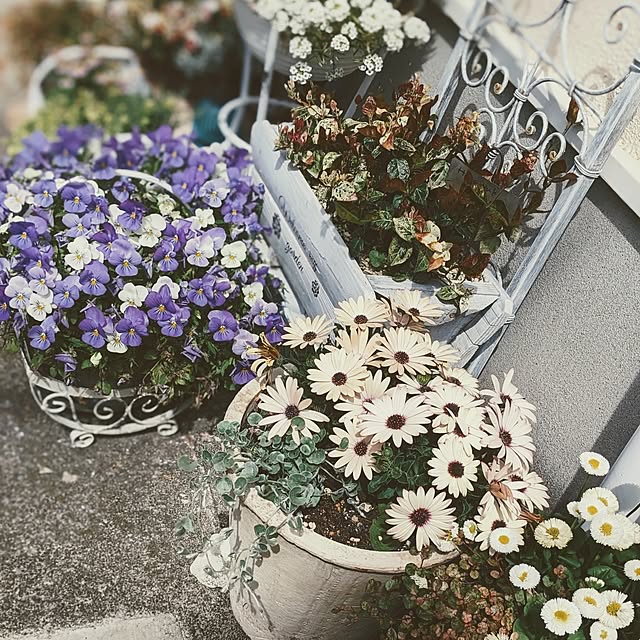 purpureさんの部屋
