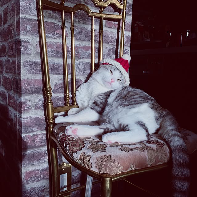 emmyyさんの実例写真