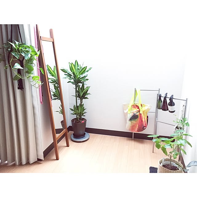 daco.0991さんの実例写真