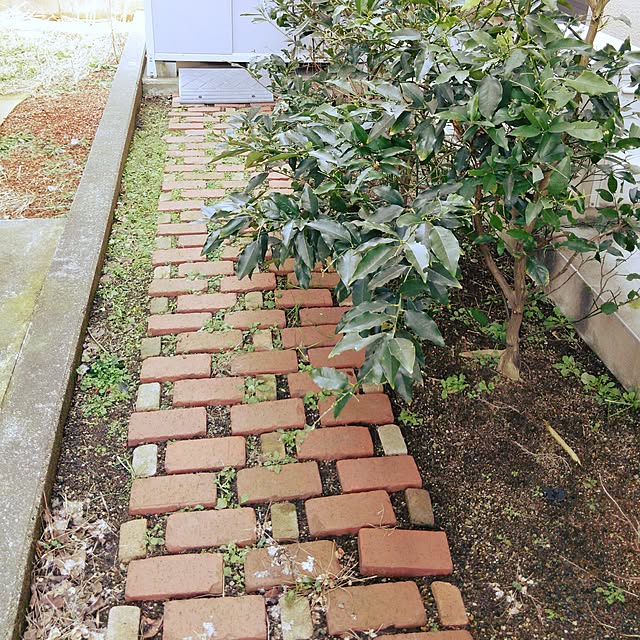 yumikoさんの実例写真