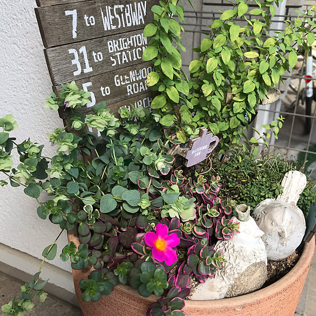 bo-zuさんの実例写真
