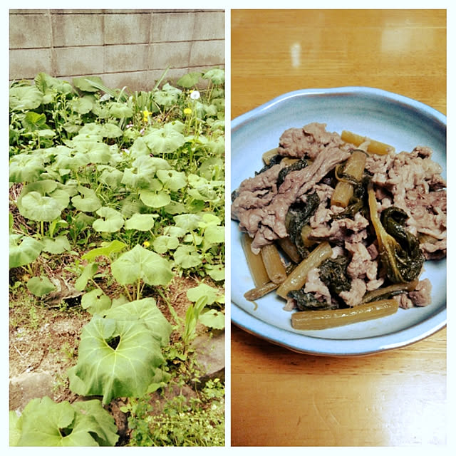 hiroさんの実例写真