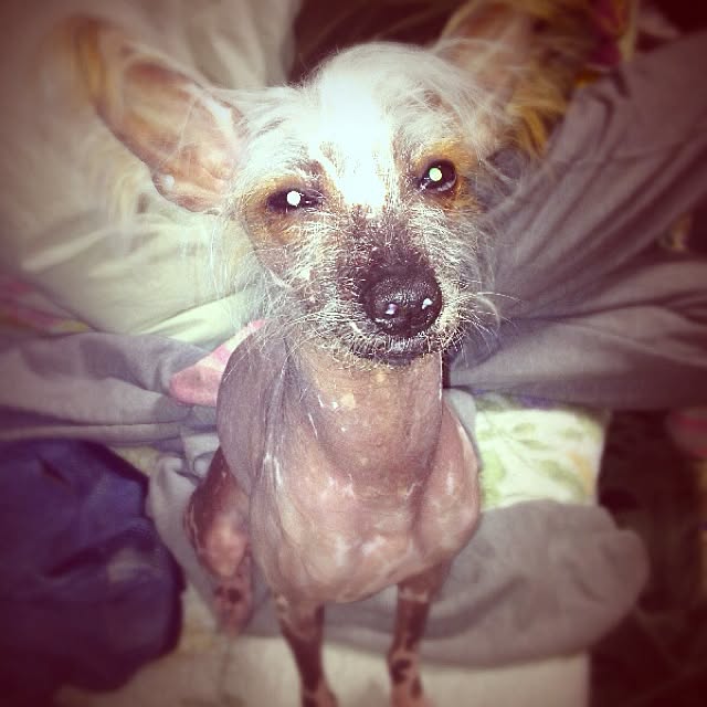 実例写真