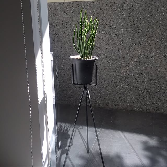 Veraさんの実例写真