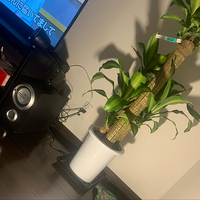 一人暮らし/カフェ風/モノトーン/男前/観葉植物...などのインテリア実例 - 2020-05-02 21:56:32