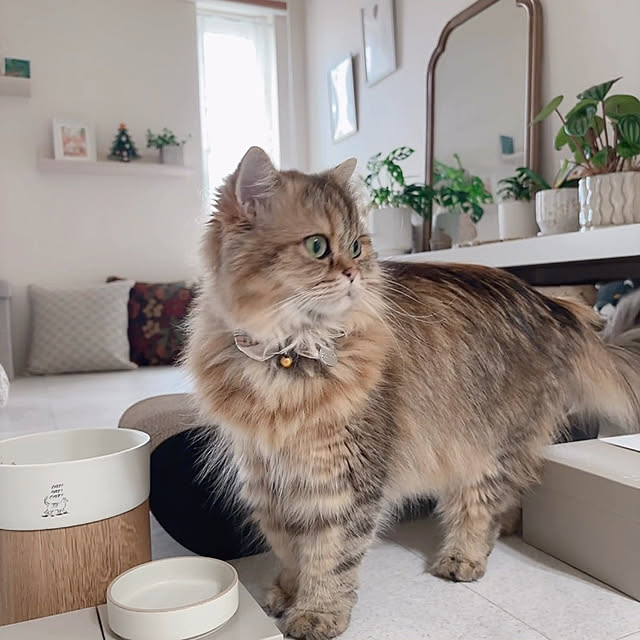 miyu39さんの部屋