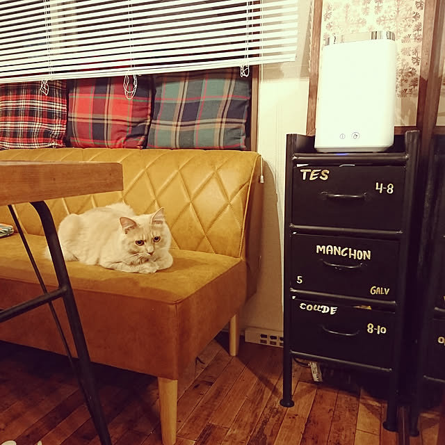 Lukiさんの実例写真