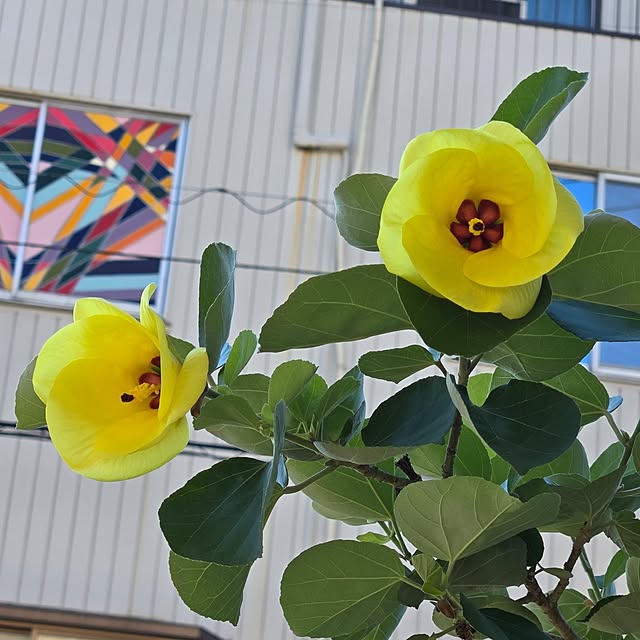 mitsuyama3136さんの実例写真