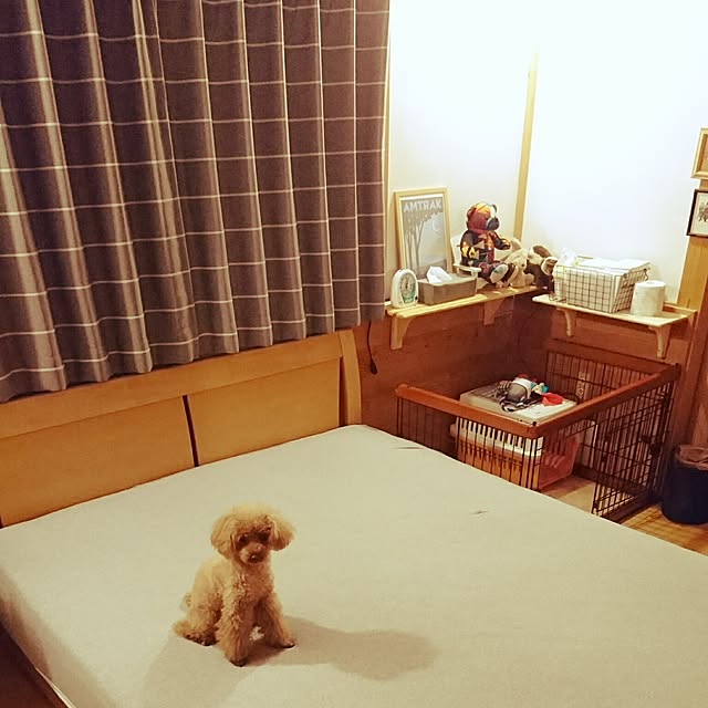 ryosukeさんの実例写真