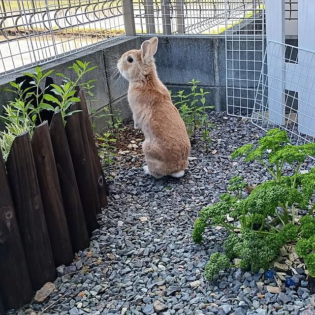aiさんの部屋