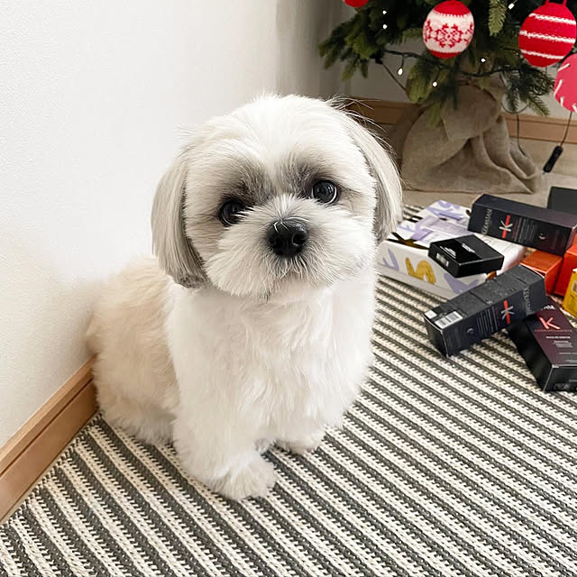 naoさんの実例写真