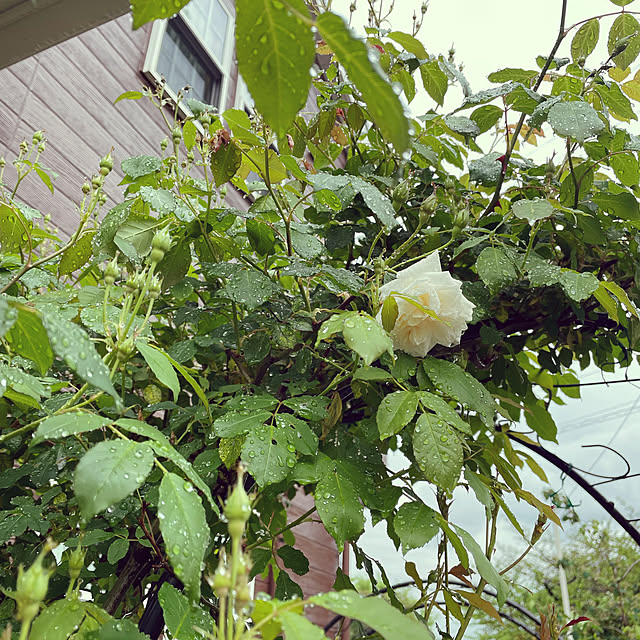 matsuchan02さんの実例写真