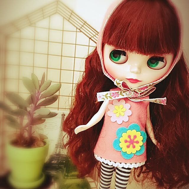 mametaroさんの実例写真