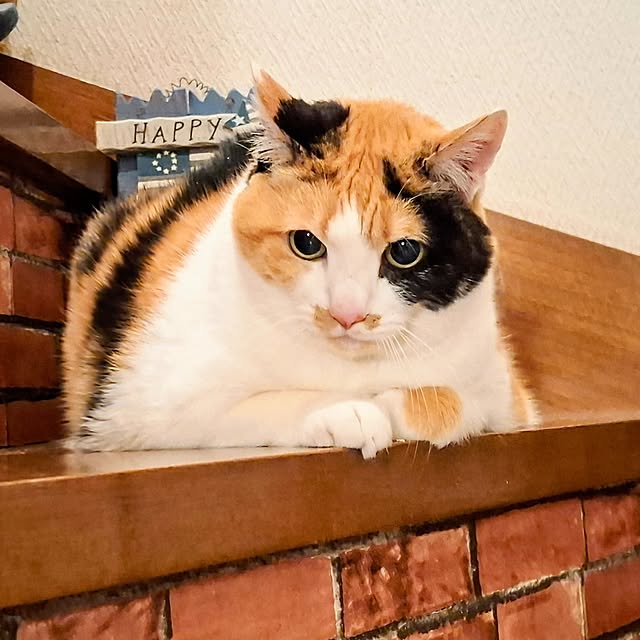 nanaさんの実例写真