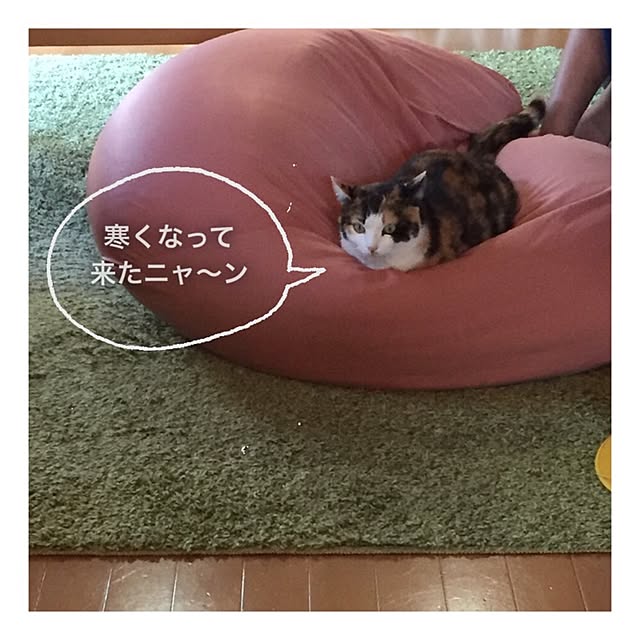 mayugonさんの実例写真