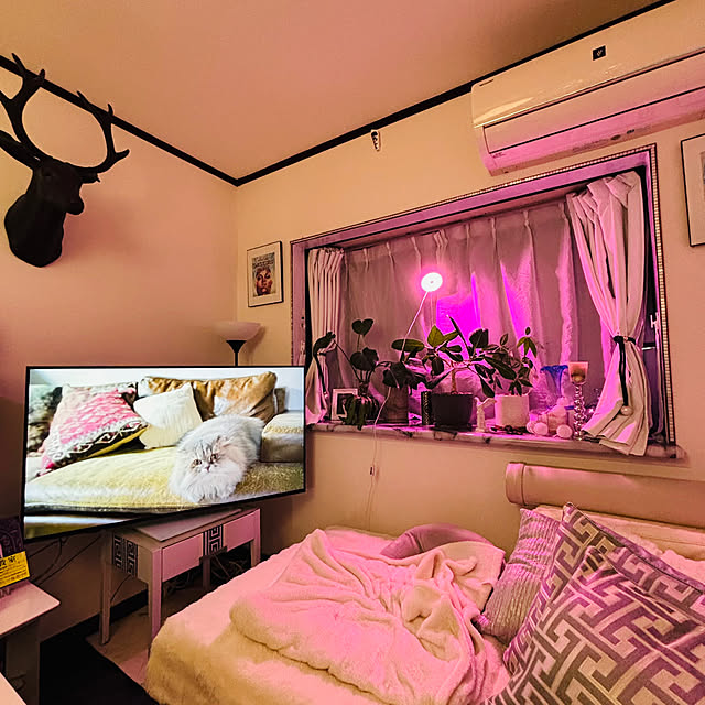 paris28さんの部屋