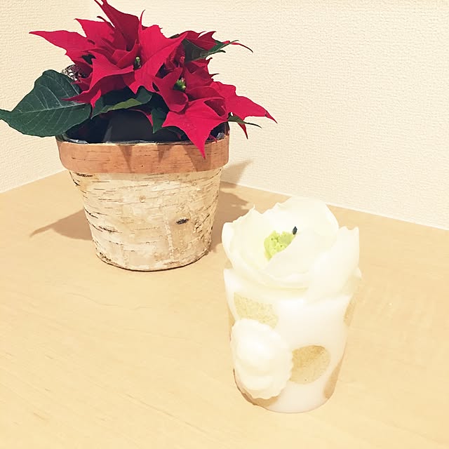 kanekoさんの実例写真