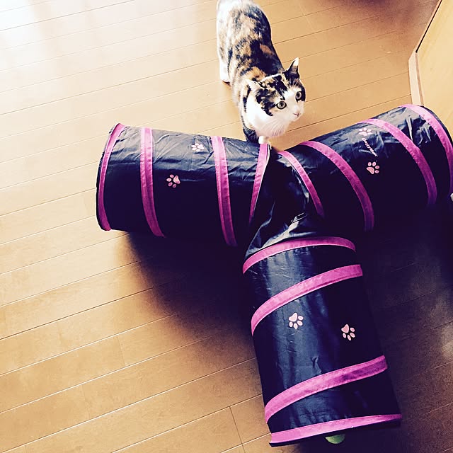 mayugonさんの実例写真