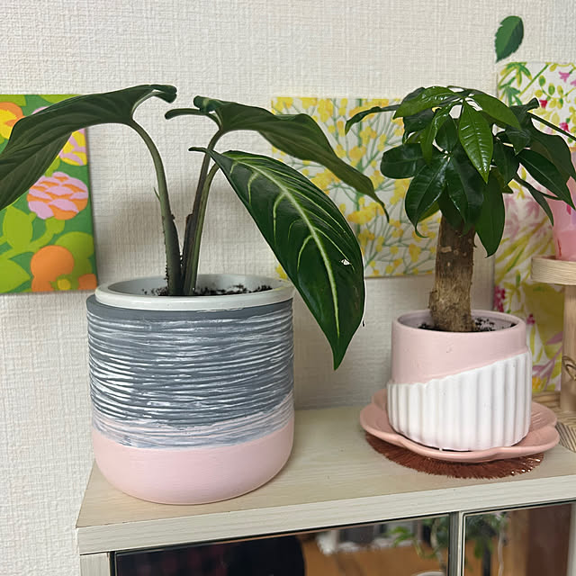 Saoriさんの実例写真