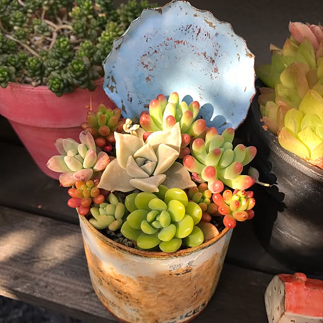 実例写真