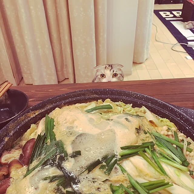 yokkochanさんの実例写真