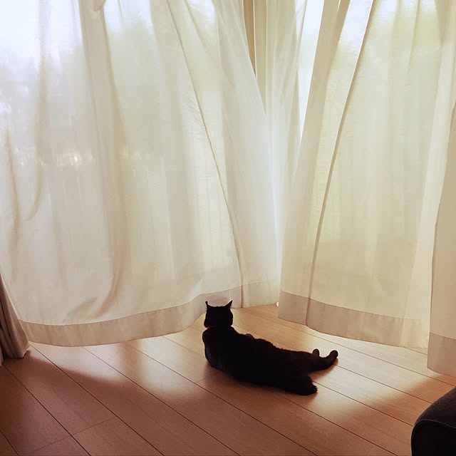 Kaoriさんの実例写真