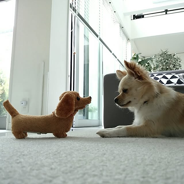 mi-さんの実例写真