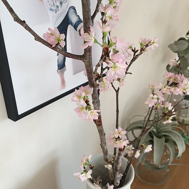 canacoさんの実例写真