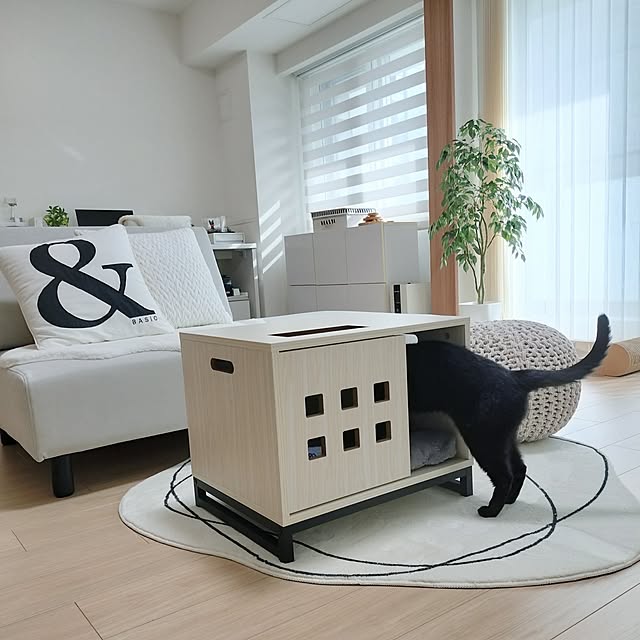 sakuraさんの部屋