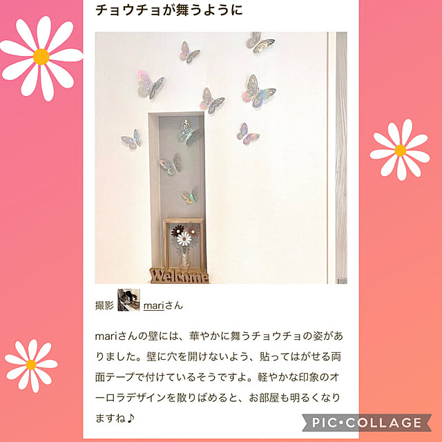 mariさんの実例写真