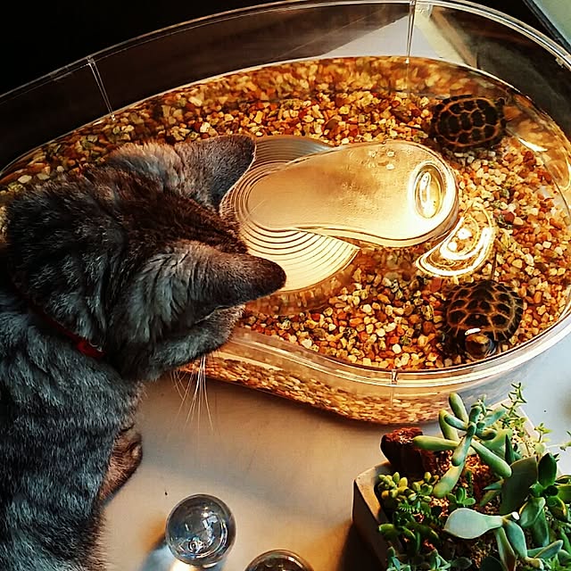 kanabunさんの実例写真