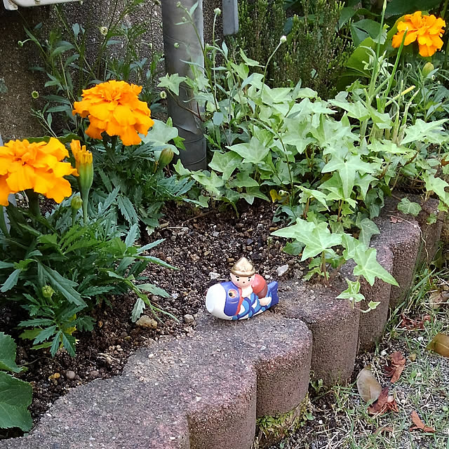 Renさんの実例写真