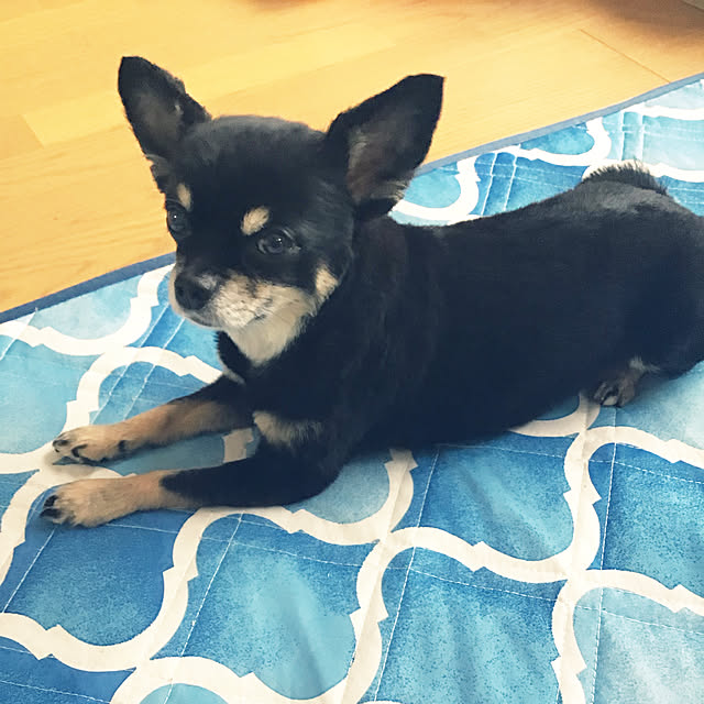 sakuさんの実例写真