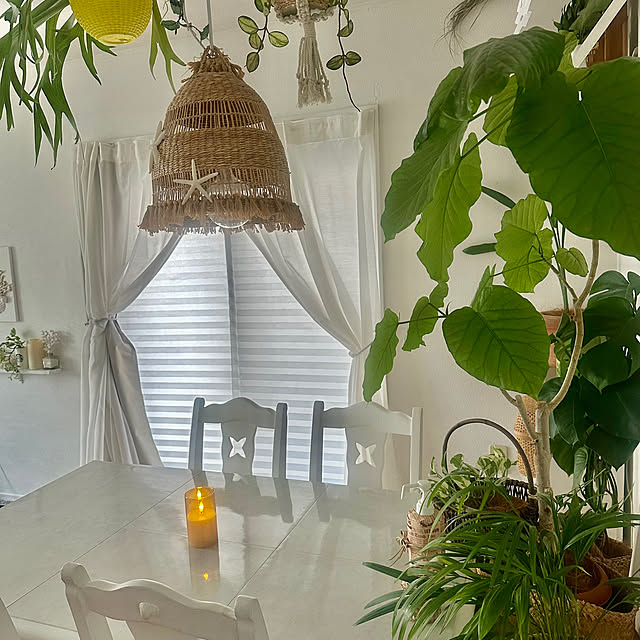 Megumiさんの実例写真