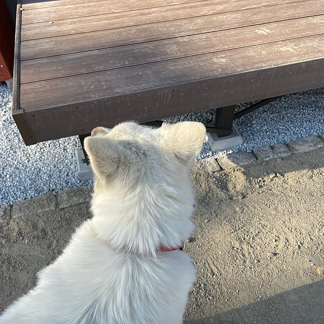 manekinekoさんの実例写真