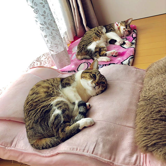 nnmmさんの実例写真