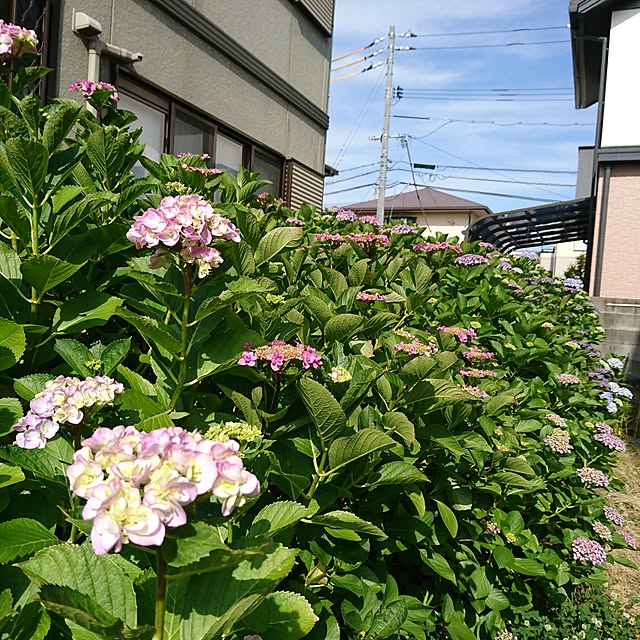 TKEさんの実例写真